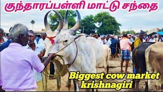 Krishnagiri District cow market kundarapalli//குந்தாரப்பள்ளி மாட்டு சந்தை கிருஷ்ணகிரி