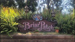 The Briar Patch