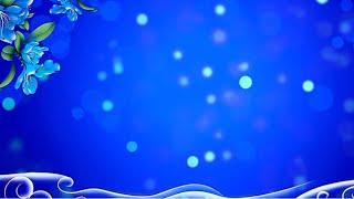 Beautiful background video | fantasy blue flowers background | background video animation hd