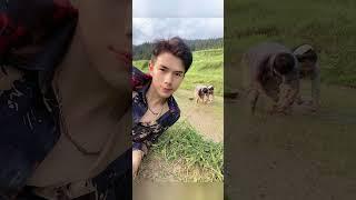The Man Protects The Woman and Fights The Gangster!#drama #funny #comedy