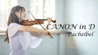 Canon in D -Pachelbel-  AYAKO ISHIKAWA パッヘルベルのカノン 石川綾子