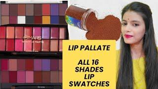 Mars infinity Lip Pallate Review|Lip Swatches|Hand Swatches|Mars Lip Pallate @sunandabengalivlog