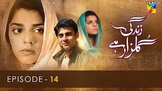 Zindagi Gulzar Hai - Episode 14 - [ HD ] - ( Fawad Khan & Sanam Saeed ) - HUM TV Drama