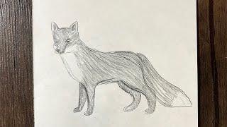 How to draw a fox step by step | easy animal drawing ideas for beginners