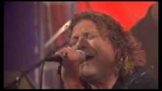 Robert Plant- Black Dog