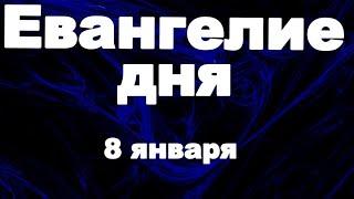 Включи прямо сейчас!  Евангелие дня 8 января  2025 года