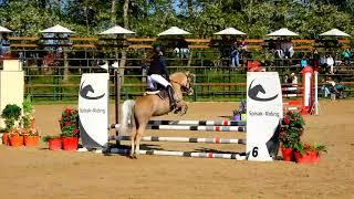 Pony Show Jumping - Children