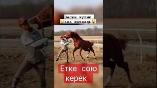 #лазер #көкпар #horses #қазақстан #ат #улак #аттила #кокбору #кокпар #астана #лошади #конь #лошадь