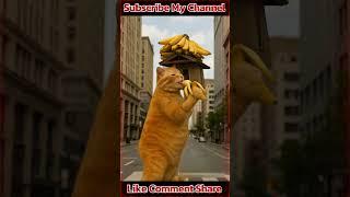 Funny Video CAT eating  banana,Rana Digital Hub