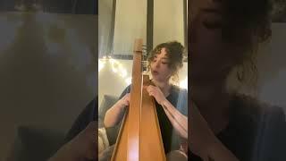 Celtic harp cover - Chet baker - I get along without you very well #musicireland #harplife #harp