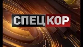 Спецкор о 21:00 від 18 листопада 2014 року