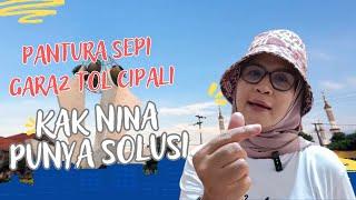 TOL CIPALI BIKIN PANTURA SEPI | KAK NINA PUNYA SOLUSI ‼️