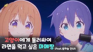 [KIRA KIRADIO]고양이에게 둘러싸여 라면을 먹고 싶은 마메짱(Feat.밤하늘 안내)