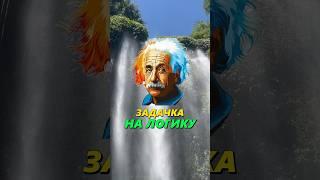 Задачка НА ЛОГИКУ! #задачиналогику #задачканасмекалку #загадкиналогику #загадка