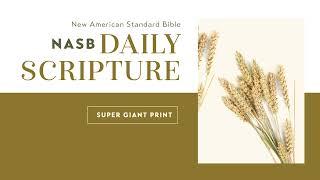 NASB Daily Scripture from Zondervan Bibles (Super Giant Print)