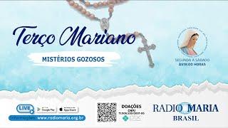 Terço Mariano - Mistérios Gozosos - Rádio Maria Brasil - Segunda-Feira - 23/12/2024