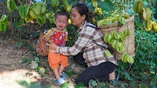 Single mother: Harvesting natural fruits to sell - cooking nutritious porridge | Build a farm