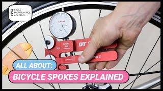 Bicycle Spokes Explained