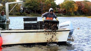 Bringing Oysters Back to Bissel Cove | North Kingstown, Rhode Island