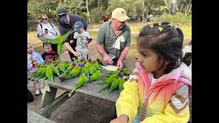 #reptile park#kangaroo#fun