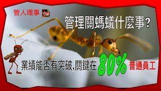 管理學知識/管理工作，公司業績能否突破，關鍵在80 %(普通員工)（中文字幕）【管人理事】20-5-2020