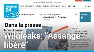 Libération de Julian Assange: "Le fondateur de Wikileaks devrait être récompensé" • FRANCE 24