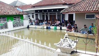 PANTAS DI PAGAR NIH KOLAM GURAMENYA BANYAK