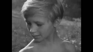IVAN'S CHILDHOOD - (Ivanovo detstvo). "Mama, there's a Cuckoo" clip.