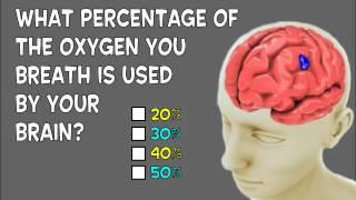 How much oxygen does your brain use