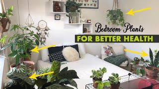 Best bedroom plants for HEALTH | Bedroom plants ideas for better sleep