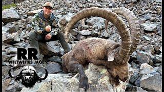 Hunting Adventure Kazakhstan | Mid-Asian Ibex | Steinbock | RR Weltweites Jagen