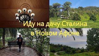 Иду на дачу Сталина Дача Сталина в Новом Афоне  «Ласточкино гнездо»Абхазия 2023 Дорога вдоль олив