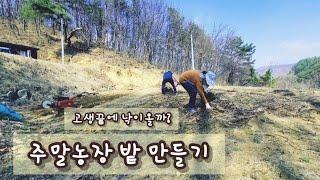 2024년 농번기 주말농장 밭 만들기!#텃밭농사