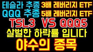 [야수의 종목] TSL3 VS. QQQ5 살벌한 하락률 입니다 I  절대 투자 하지 마세요 큰일 납니다. I TSL3 -1.59% I QQQ5 -1.7% I 테슬라 I QQQ I