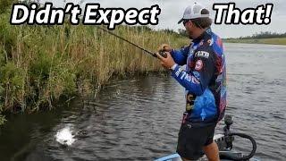 How to Fish a Spinnerbait - Scott Martin - Everything you need to know.