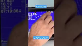 Panoptix  - Garmin ECHOMAP UHD LiveVu Forward/LiveVu Down/FrontVu Screen