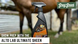 Show Prep with the Alto Lab Ultimate Sheen - Greg Grant Saddlery