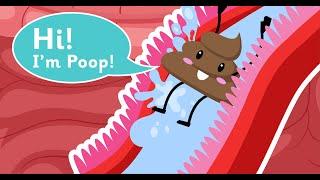 Biology | "What's In Our Digestive System?" Explained | Human Body | Science for Kids