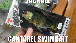 Jackall Gantarel Swimbait Lure - Fishing Tackle Tips