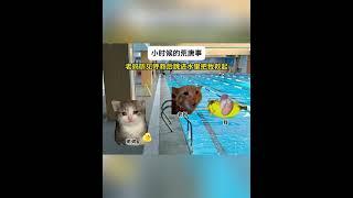 小时候的荒唐事 #猫meme #猫meme小剧场  #搞笑 #故事 #funny  #貓 #cat #迷恋  #萌宠 #遊戲 #貓咪  #cute #meme #memes