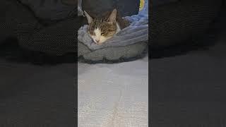 На следующий день после операции