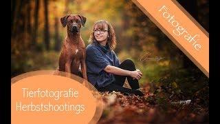 Making Of - Tierfotografie im Herbst / Fotoshooting mit Hunden / La Vida Colorista