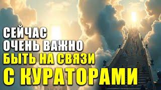 МИР ТЁМНЫХ ЦИ? Уроки опыта и путь к духовному вознесению!