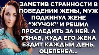 Заметив странности в поведении жены, муж подкинул жене"жучок" и решил проследить за ней. А узнав...