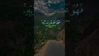 quran tikawat khobsorat andaz may #quran #quranrecitation #quranicblessings #qurantilawat