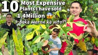 10 MOST EXPENSIVE PLANTS I HAVE SOLD