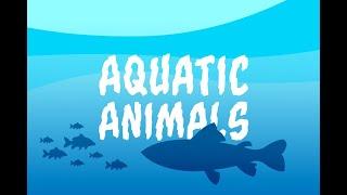 Images of Aquatic Animals