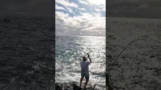 Madeira | Odyssey Sea Fishing UK.