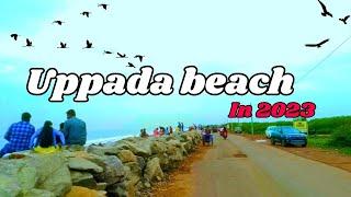 Uppada Beach // Uppada Beach Road // Travel With Jagadish