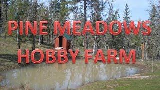 Pine Meadows Hobby Farm - A Modern Small Homestead